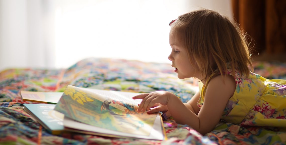 Facts About Brain Development M ller s