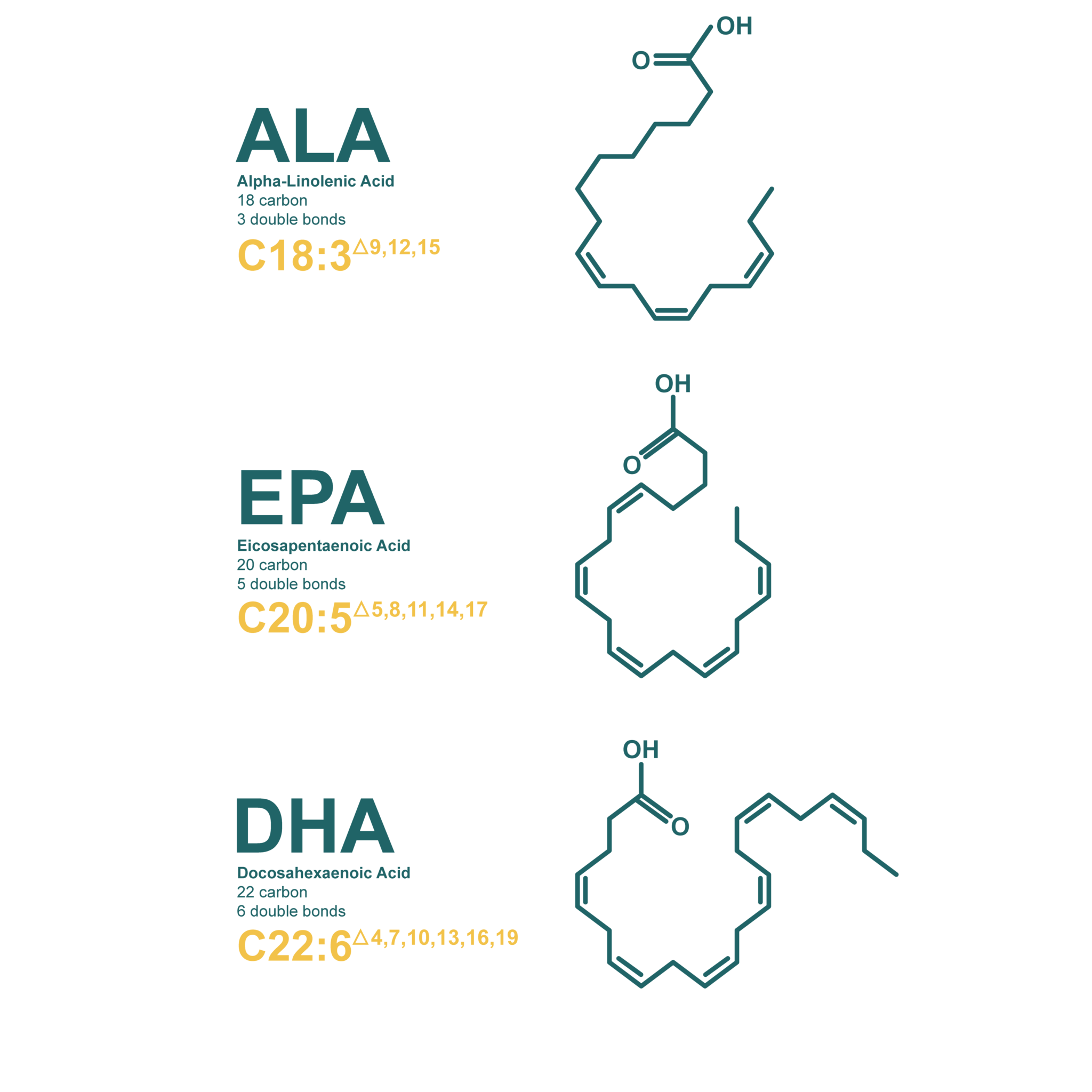 introduction-to-omega-3-m-ller-s